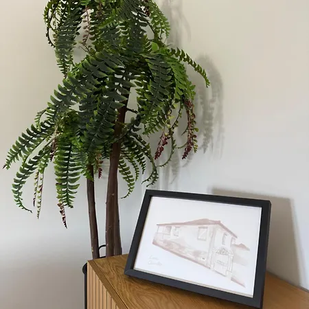 Casa Carvalho 別荘 ペーゾ・ダ・レーグア